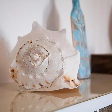 Mar Y Villas - Raices Del Sur Bed & Breakfast 3*
